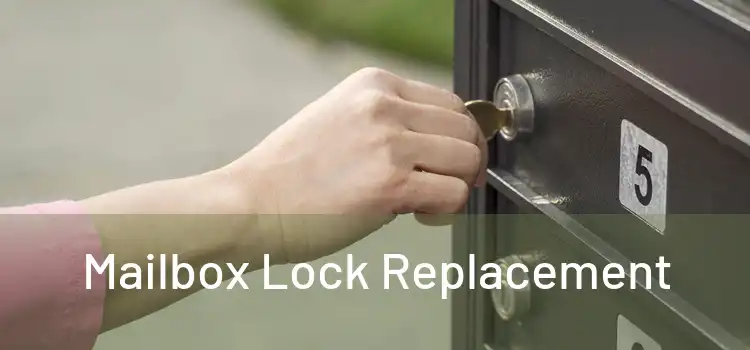  Mailbox Lock Replacement 